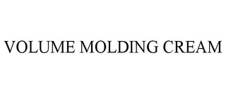 VOLUME MOLDING CREAM