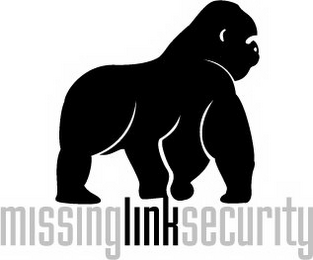 MISSINGLINKSECURITY