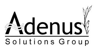 ADENUS SOLUTIONS GROUP