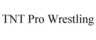 TNT PRO WRESTLING