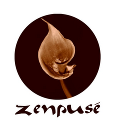 ZENPUSE