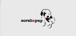 SCRUBAPUP