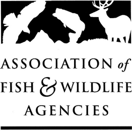 ASSOCIATION OF FISH & WILDLIFE AGENCIES