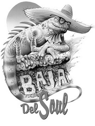 BAJA DEL SOUL