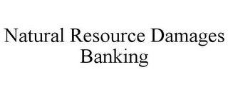 NATURAL RESOURCE DAMAGES BANKING