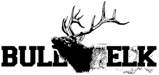 BULL ELK