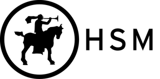 HSM