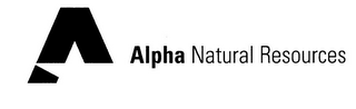 A ALPHA NATURAL RESOURCES