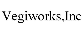 VEGIWORKS,INC