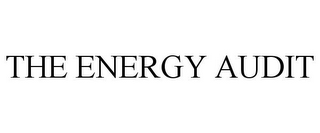 THE ENERGY AUDIT