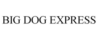 BIG DOG EXPRESS