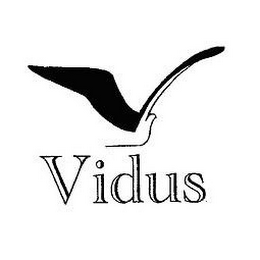 VIDUS