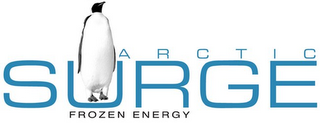 ARCTIC SURGE FROZEN ENERGY