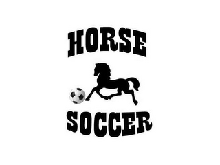 HORSE SOCCER