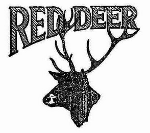 RED DEER