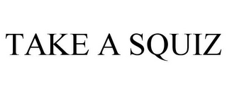 TAKE A SQUIZ