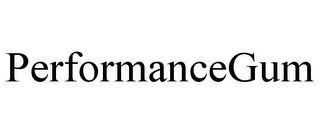 PERFORMANCEGUM