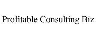 PROFITABLE CONSULTING BIZ