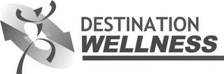 DESTINATION WELLNESS