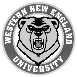 WESTERN NEW ENGLAND UNIVERSITY