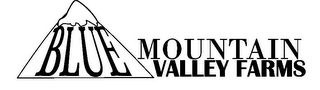 BLUE MOUNTAIN VALLEY FARMS