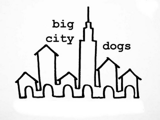 BIG CITY DOGS