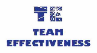 TE TEAM EFFECTIVENESS