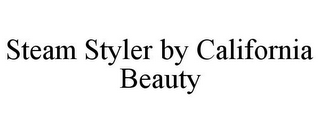 STEAM STYLER BY CALIFORNIA BEAUTY
