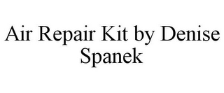 AIR REPAIR KIT BY DENISE SPANEK