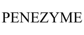 PENEZYME