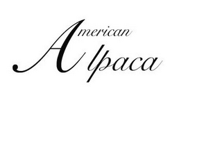 AMERICAN ALPACA