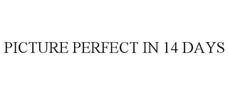 PICTURE PERFECT IN 14 DAYS