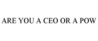 ARE YOU A CEO OR A POW