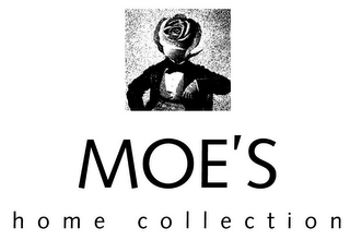 MOE'S HOME COLLECTION