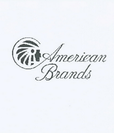 AMERICAN BRANDS