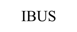 IBUS