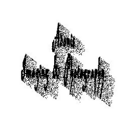 ADONIS IMAGING & PHOTOGRAPHY