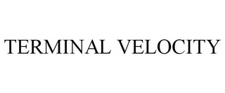 TERMINAL VELOCITY