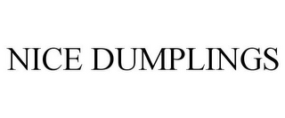 NICE DUMPLINGS