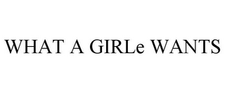 WHAT A GIRLE WANTS