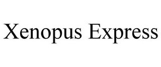 XENOPUS EXPRESS