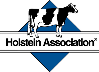 HOLSTEIN ASSOCIATION