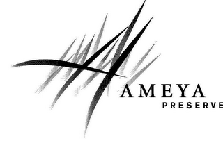 AMEYA PRESERVE