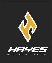 H HAYES BICYCLE GROUP