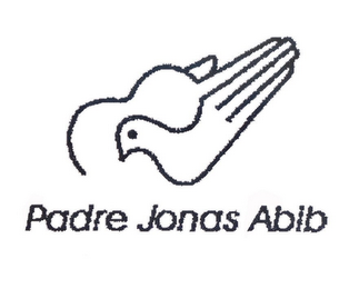 PADRE JONAS ABIB