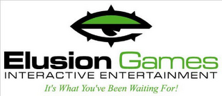 ELUSION GAMES INTERACTIVE ENTERTAINMENT IT'S WHAT YOU'VE BEEN WAITING FOR!