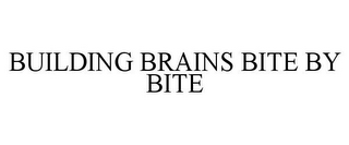 BUILDING BRAINS BITE BY BITE