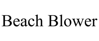 BEACH BLOWER