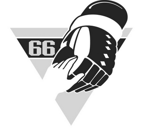 66