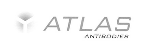 Y ATLAS ANTIBODIES